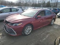 Toyota salvage cars for sale: 2021 Toyota Camry LE