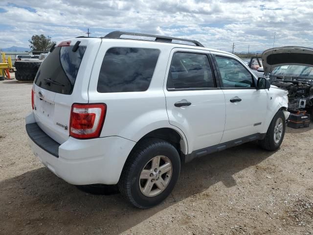 2008 Ford Escape HEV