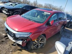 Salvage cars for sale from Copart Columbus, OH: 2023 Honda Odyssey Touring