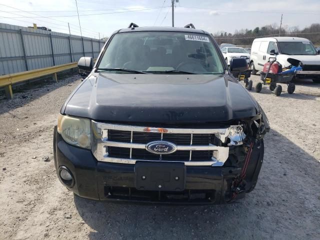 2008 Ford Escape XLT