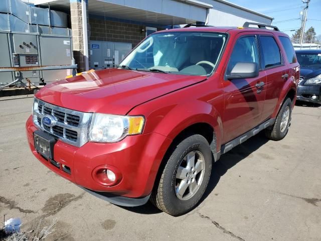 2010 Ford Escape XLT