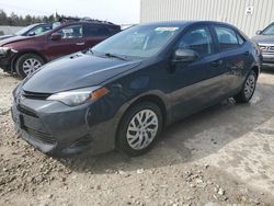 Toyota Corolla L salvage cars for sale: 2017 Toyota Corolla L