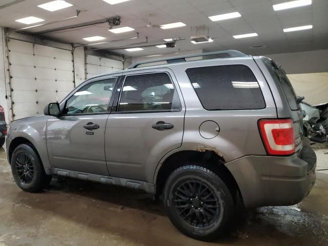 2010 Ford Escape XLT