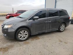 Salvage cars for sale from Copart Albuquerque, NM: 2014 Honda Odyssey EXL