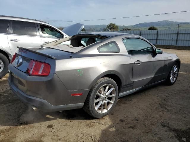 2010 Ford Mustang