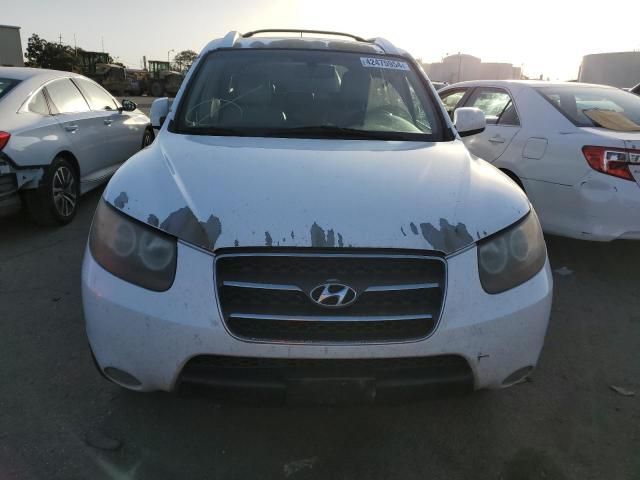 2007 Hyundai Santa FE SE