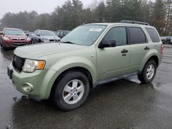 Vehiculos salvage en venta de Copart Exeter, RI: 2008 Ford Escape XLT