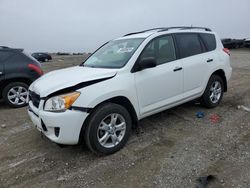 Salvage cars for sale at Earlington, KY auction: 2012 Toyota Rav4