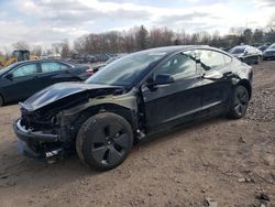 Salvage cars for sale from Copart Chalfont, PA: 2023 Tesla Model 3