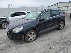 Vehiculos salvage en venta de Copart Albany, NY: 2010 Volkswagen Tiguan SE