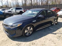 KIA Optima Hybrid salvage cars for sale: 2017 KIA Optima Hybrid