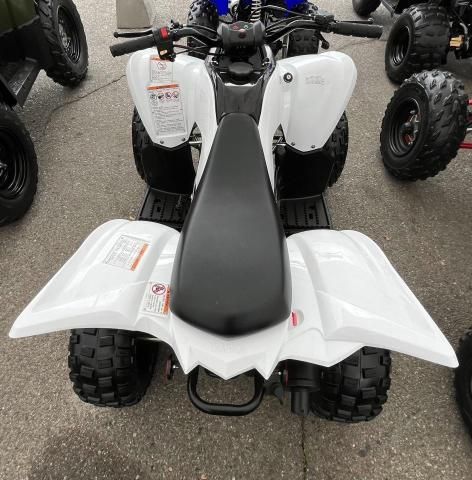 2022 Yamaha YFM90 R