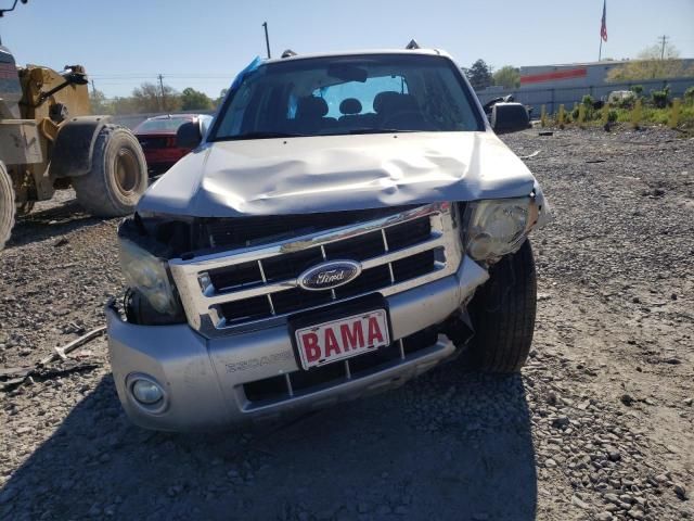 2009 Ford Escape XLT