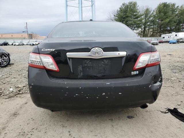 2010 Toyota Camry Hybrid