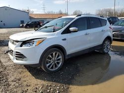 SUV salvage a la venta en subasta: 2016 Ford Escape SE