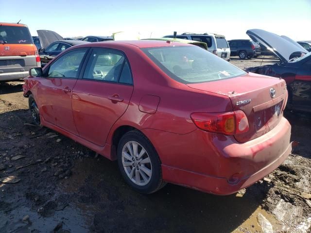 2010 Toyota Corolla Base