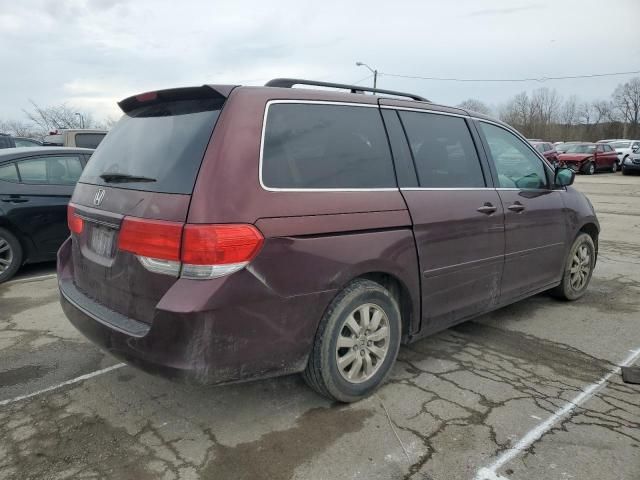 2009 Honda Odyssey EXL