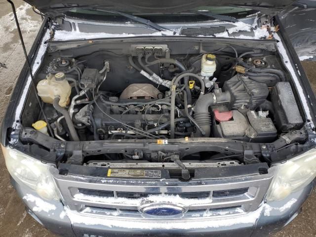 2008 Ford Escape XLT