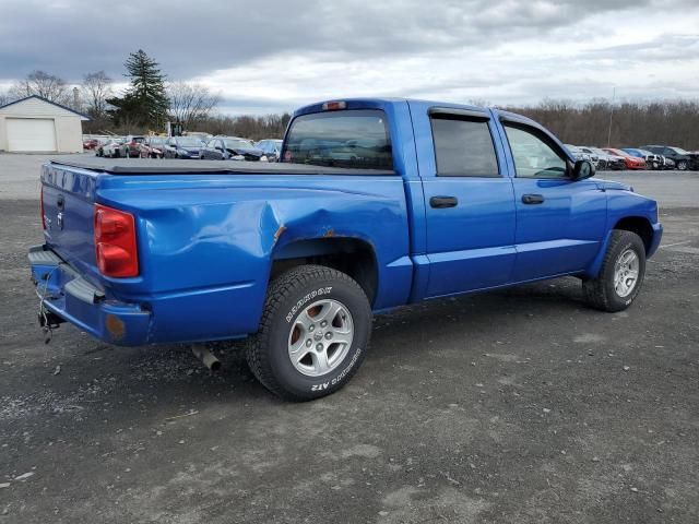 2007 Dodge Dakota Quattro