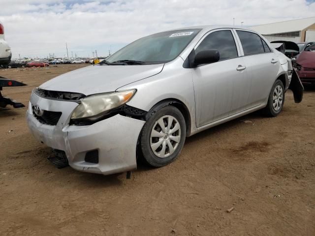 2010 Toyota Corolla Base