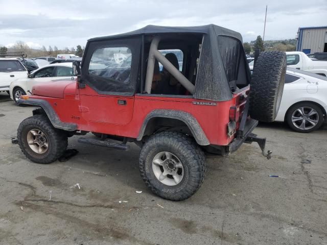 1989 Jeep Wrangler / YJ