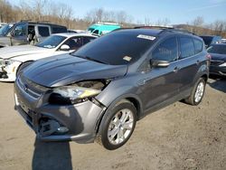 Ford Escape SEL salvage cars for sale: 2013 Ford Escape SEL