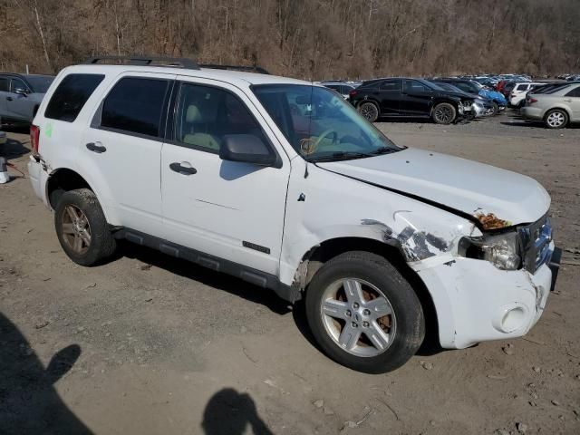 2008 Ford Escape HEV