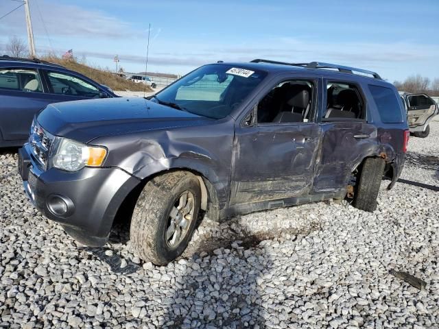 2011 Ford Escape Limited