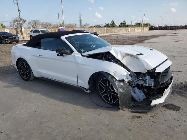 2019 Ford Mustang