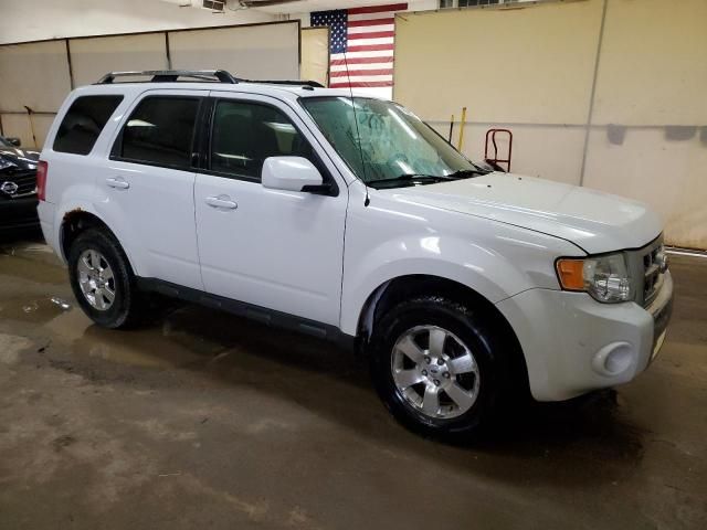 2011 Ford Escape Limited