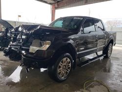 Salvage cars for sale from Copart Homestead, FL: 2013 Ford F150 Supercrew