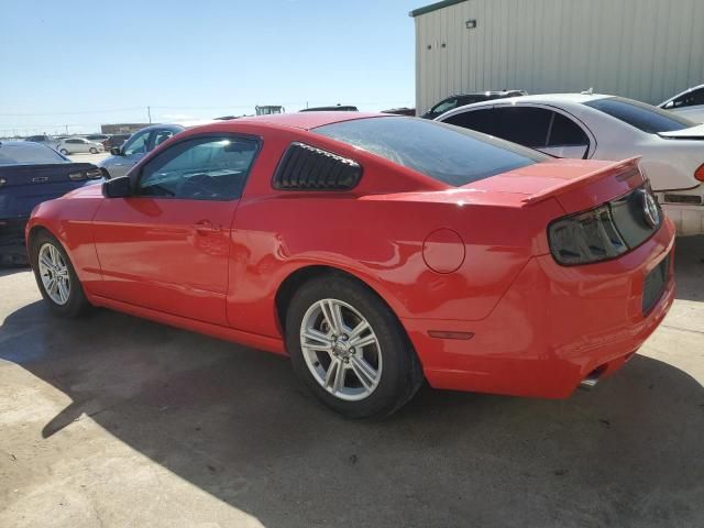 2013 Ford Mustang