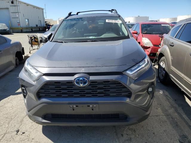 2024 Toyota Rav4 XLE Premium