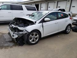 Salvage cars for sale at Louisville, KY auction: 2014 Ford Focus SE