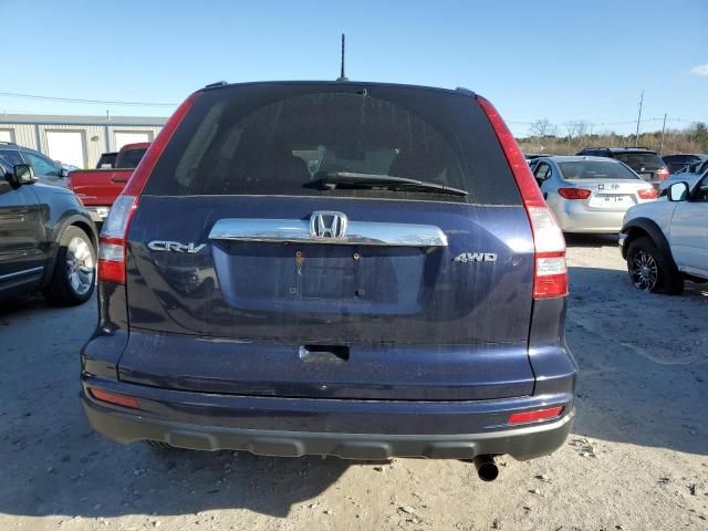 2010 Honda CR-V EXL