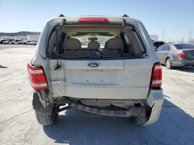 2008 Ford Escape XLT