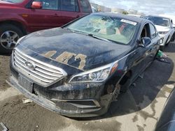 Hyundai Sonata salvage cars for sale: 2017 Hyundai Sonata SE