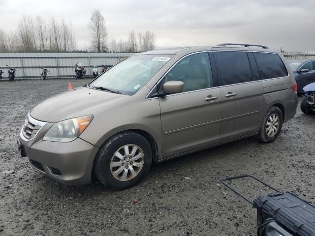 2010 Honda Odyssey EXL