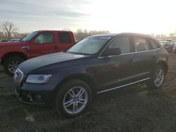 Salvage cars for sale from Copart Des Moines, IA: 2014 Audi Q5 Premium Plus