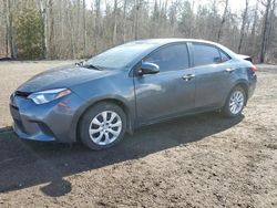 Toyota Corolla l Vehiculos salvage en venta: 2014 Toyota Corolla L