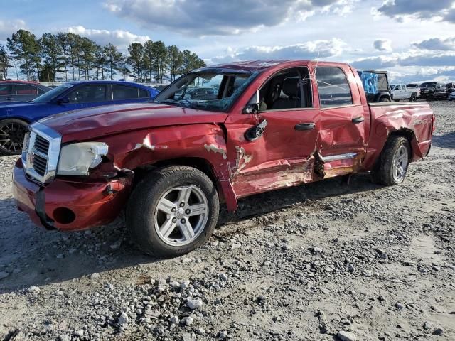 2007 Dodge Dakota Quattro