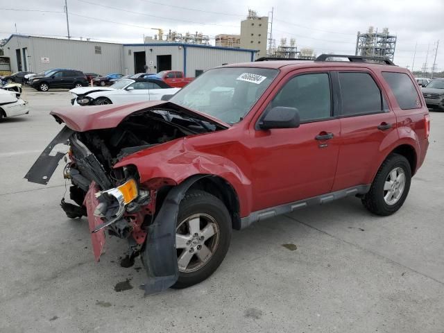 2011 Ford Escape XLT