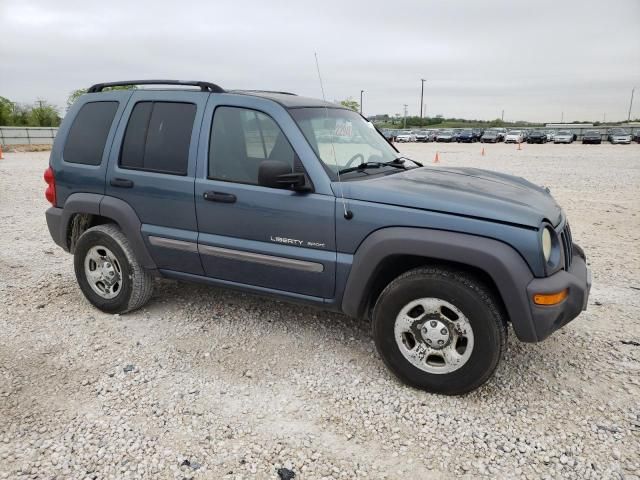 2002 Jeep Liberty Sport