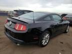 2010 Ford Mustang