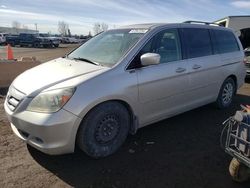 Vehiculos salvage en venta de Copart Rocky View County, AB: 2007 Honda Odyssey EXL