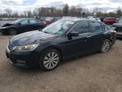 Honda salvage cars for sale: 2013 Honda Accord EX