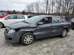 2009 Toyota Corolla Base for sale in Candia, NH