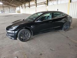 Salvage cars for sale at Phoenix, AZ auction: 2019 Tesla Model 3