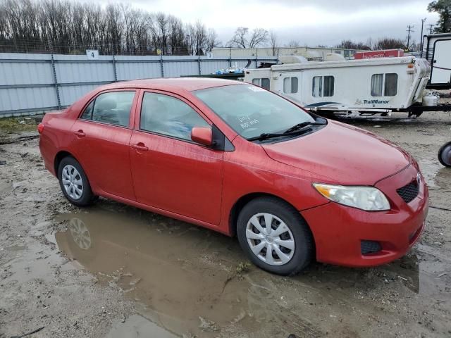 2010 Toyota Corolla Base