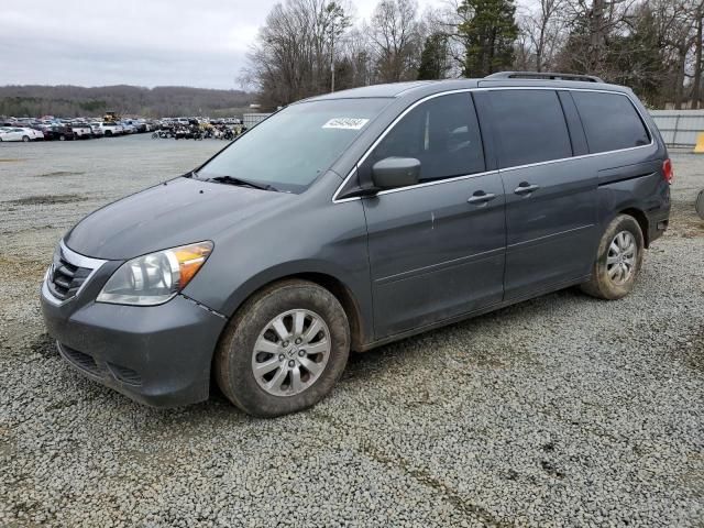 2008 Honda Odyssey EXL